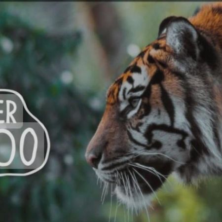 The Beautiful Bungalow Amazing Location For Chester & Zoo Wervin Екстер'єр фото