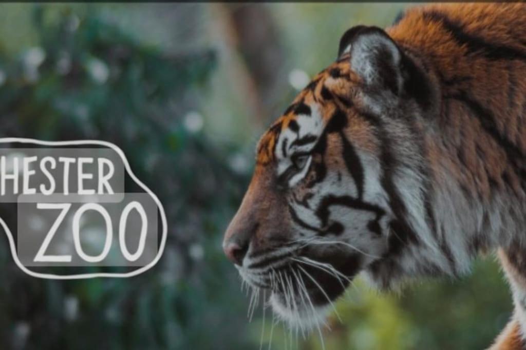 The Beautiful Bungalow Amazing Location For Chester & Zoo Wervin Екстер'єр фото